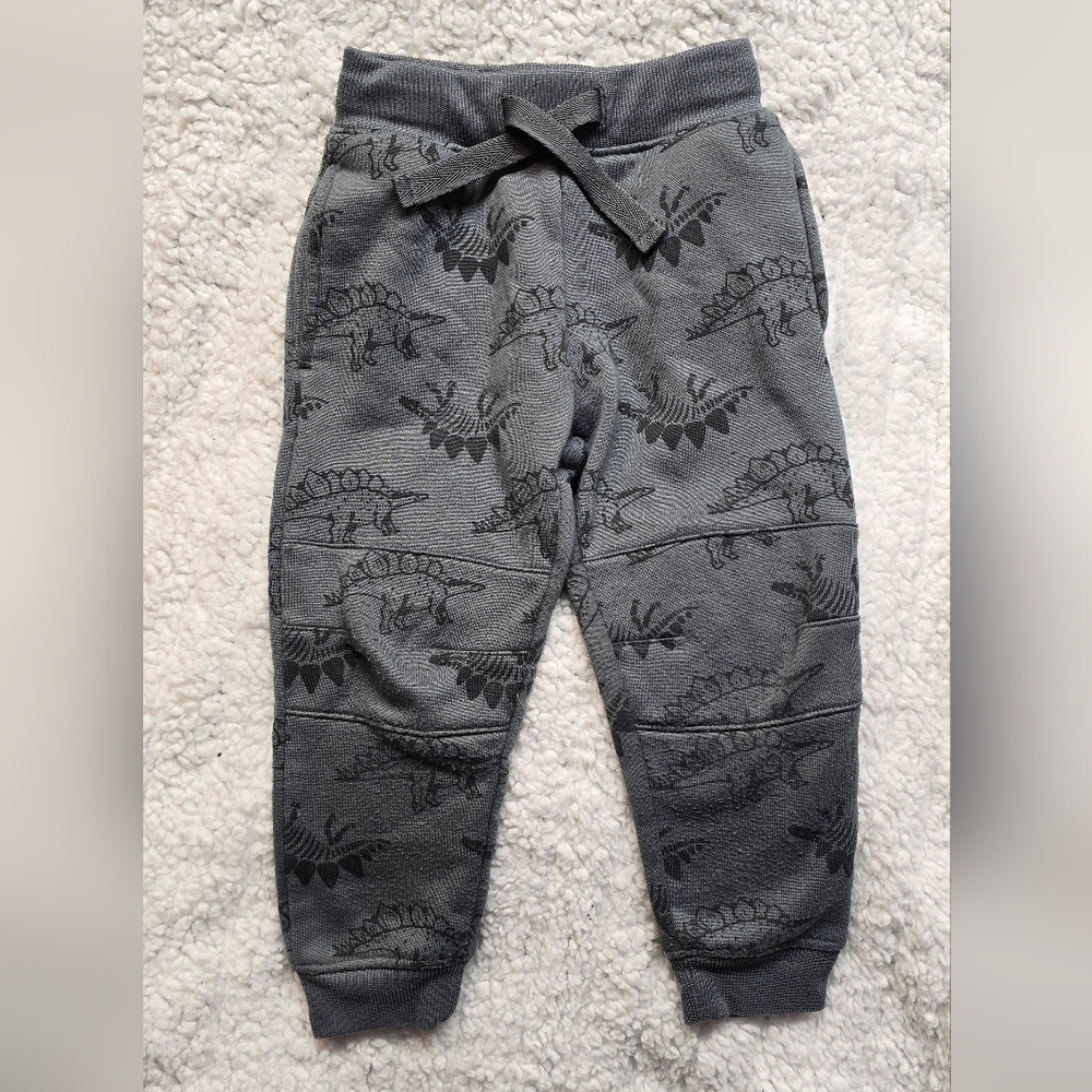 Gray Dinosaur Print Kids Joggers